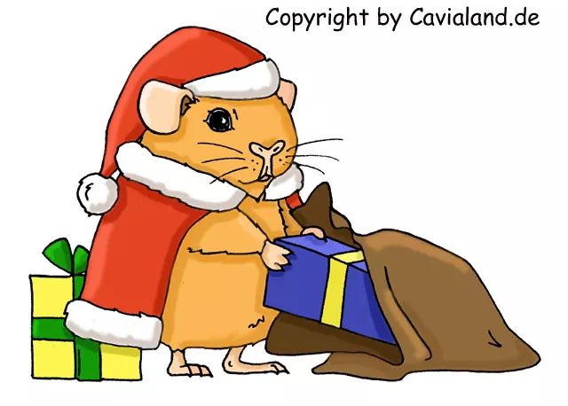 X-Mas Shop